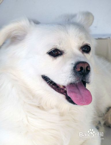 get_img-82