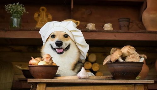 get_img-92 get_img-92