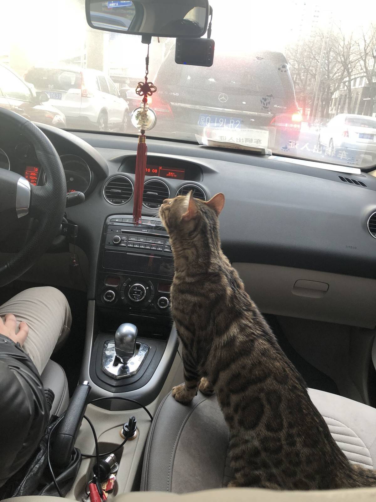 自己家的车喜欢站哪就站哪