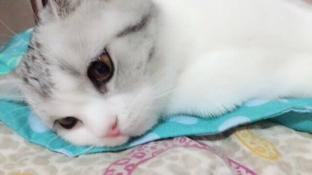 洗完澡以后可爱的小宝宝