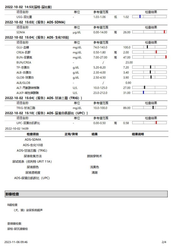 一例犬睾丸肿瘤的诊断与治疗