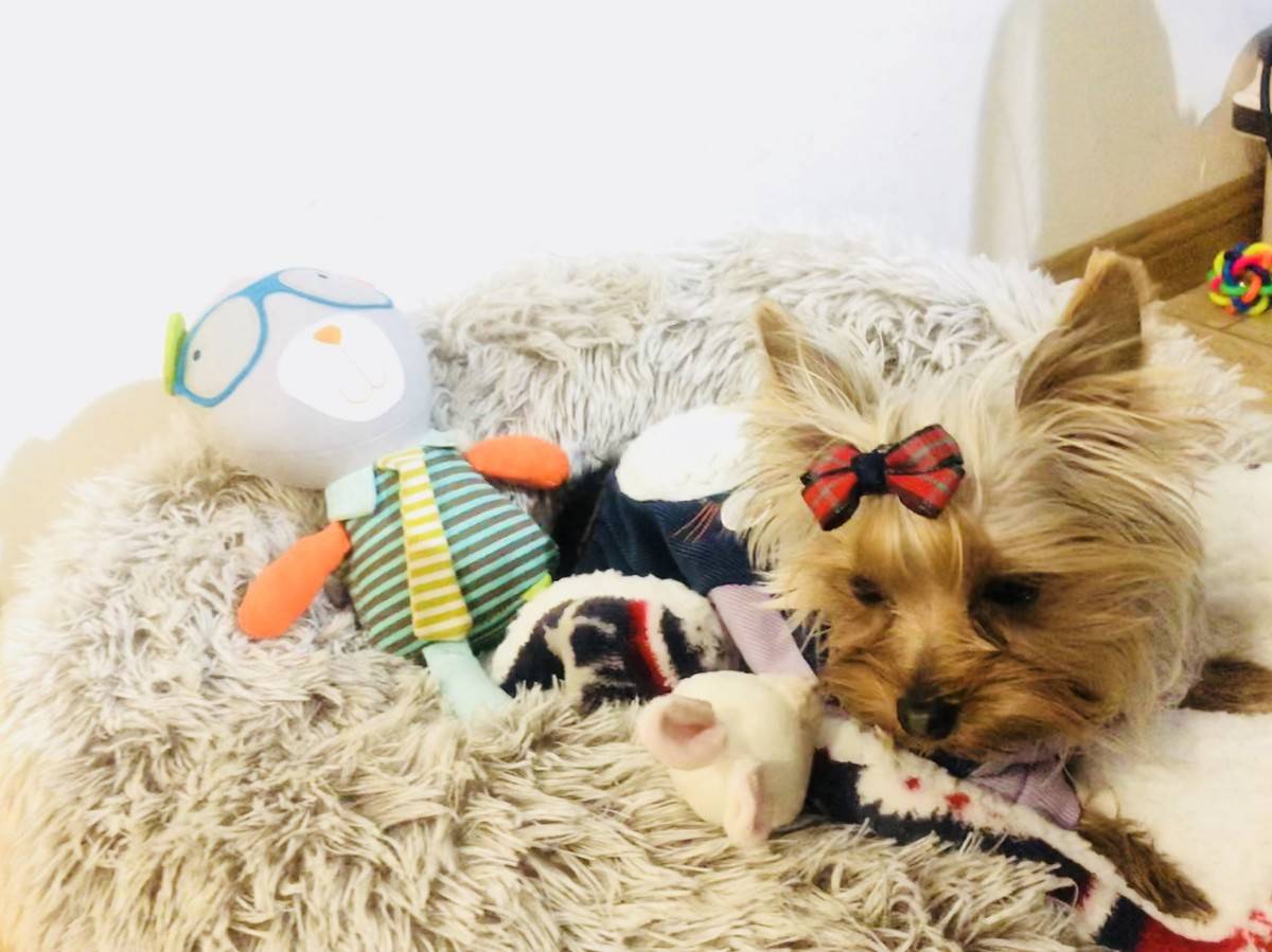 萌萌哒偶回来啦……么么哒~小兔子