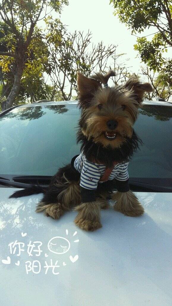 盘点了探探的坐姿~照片告诉你时光匆匆...