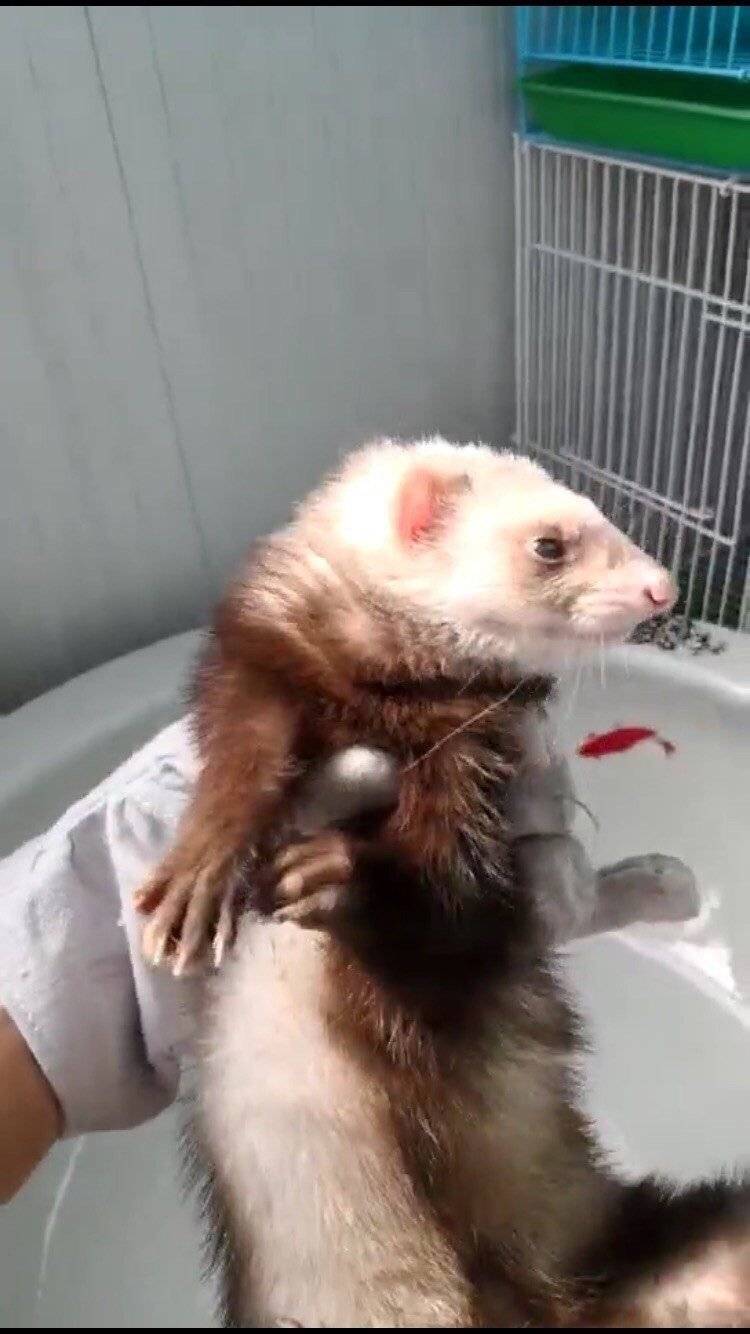 小可爱们都到了！有喜欢的吗？