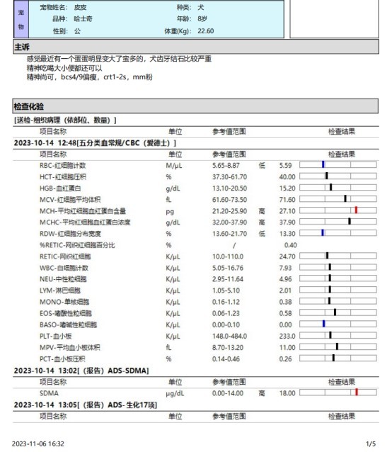 一例犬睾丸肿瘤的诊断与治疗