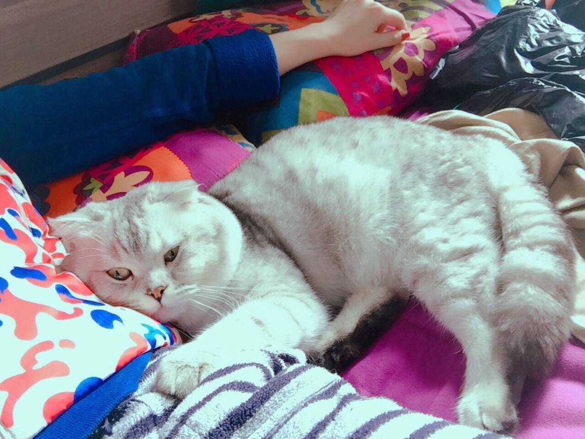 周末，和嬷蜜一起睡午觉