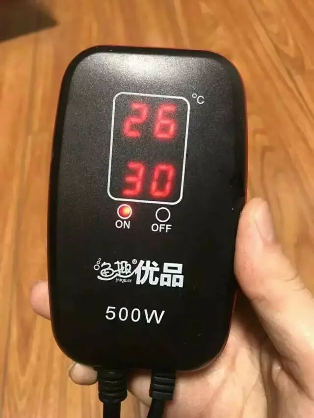 养鱼三板斧：升温对鱼有什么好处？