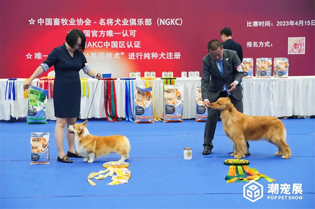 广州国际潮宠展7大亮点提前揭秘