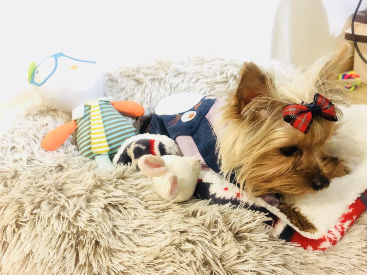 萌萌哒偶回来啦……么么哒~小兔子