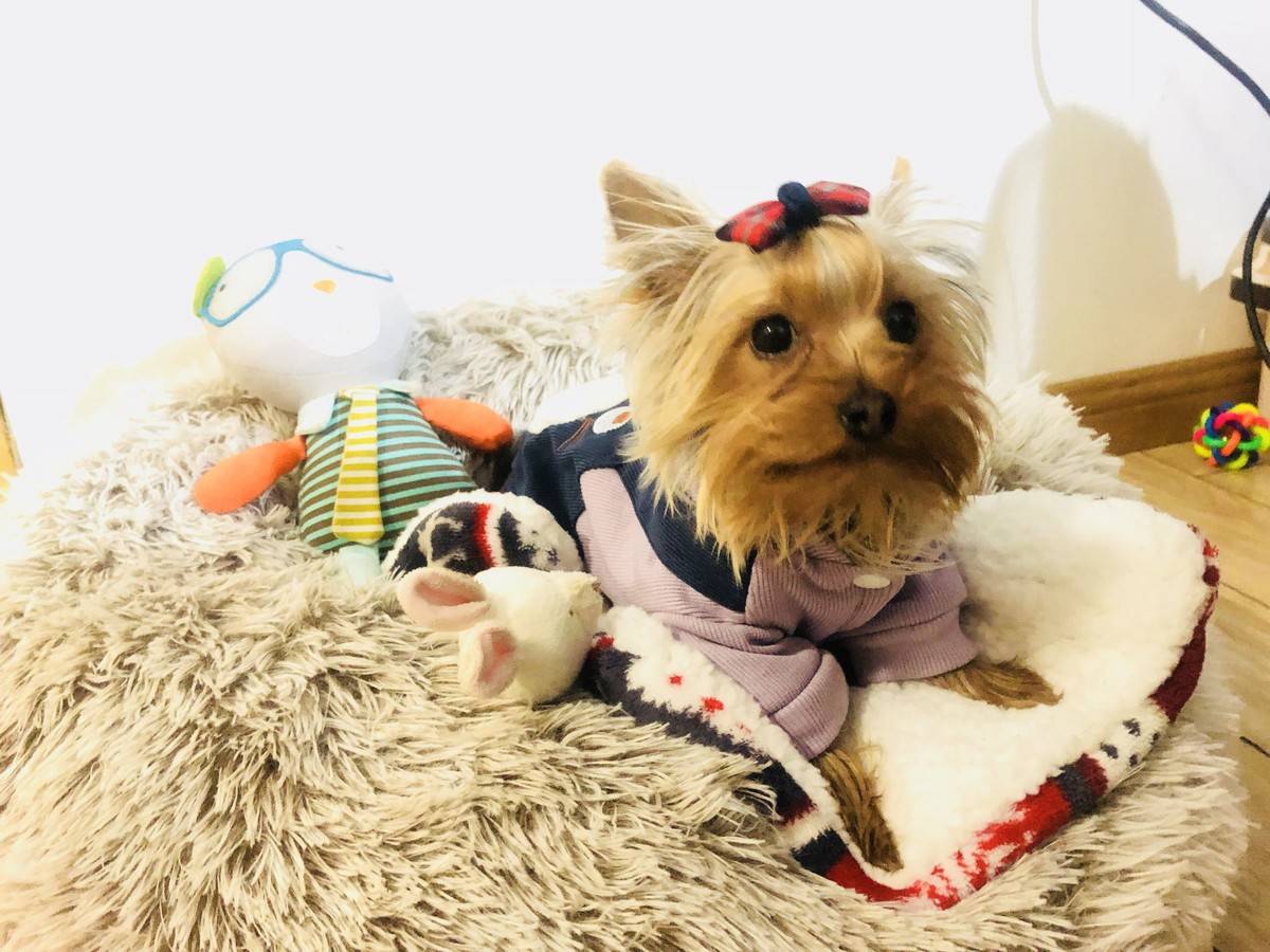 萌萌哒偶回来啦……么么哒~小兔子