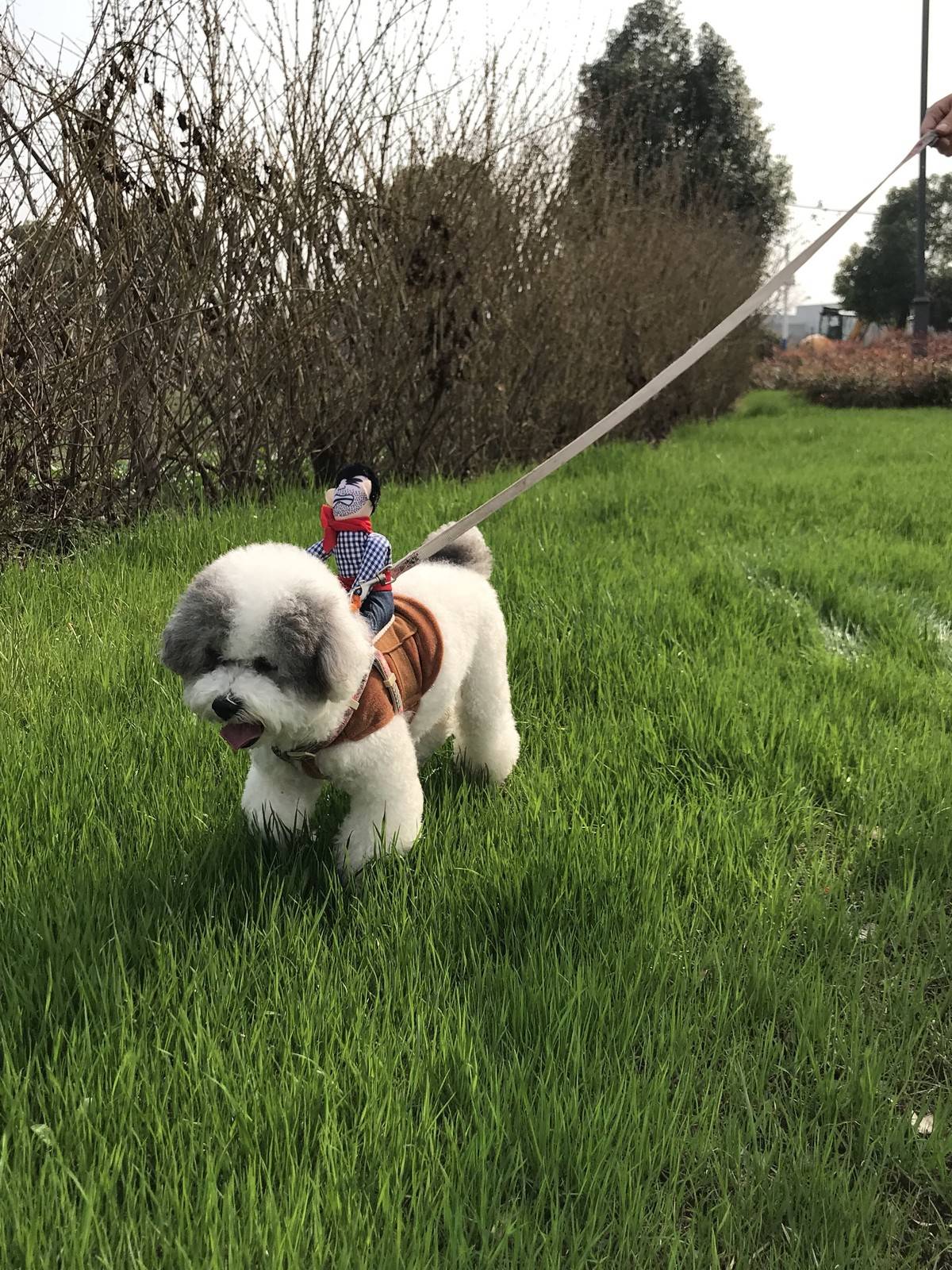 天气好好 踏踏青