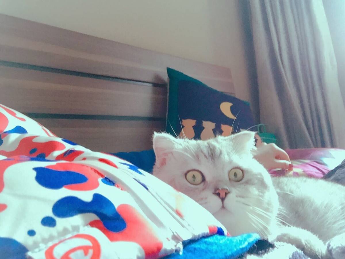 周末，和嬷蜜一起睡午觉