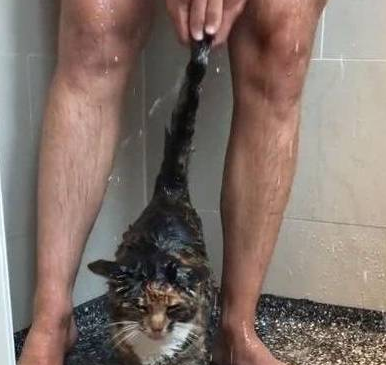 男主人正在洗澡,猫咪就溜进了浴室,网友:猫咪的眼睛往哪看呢?