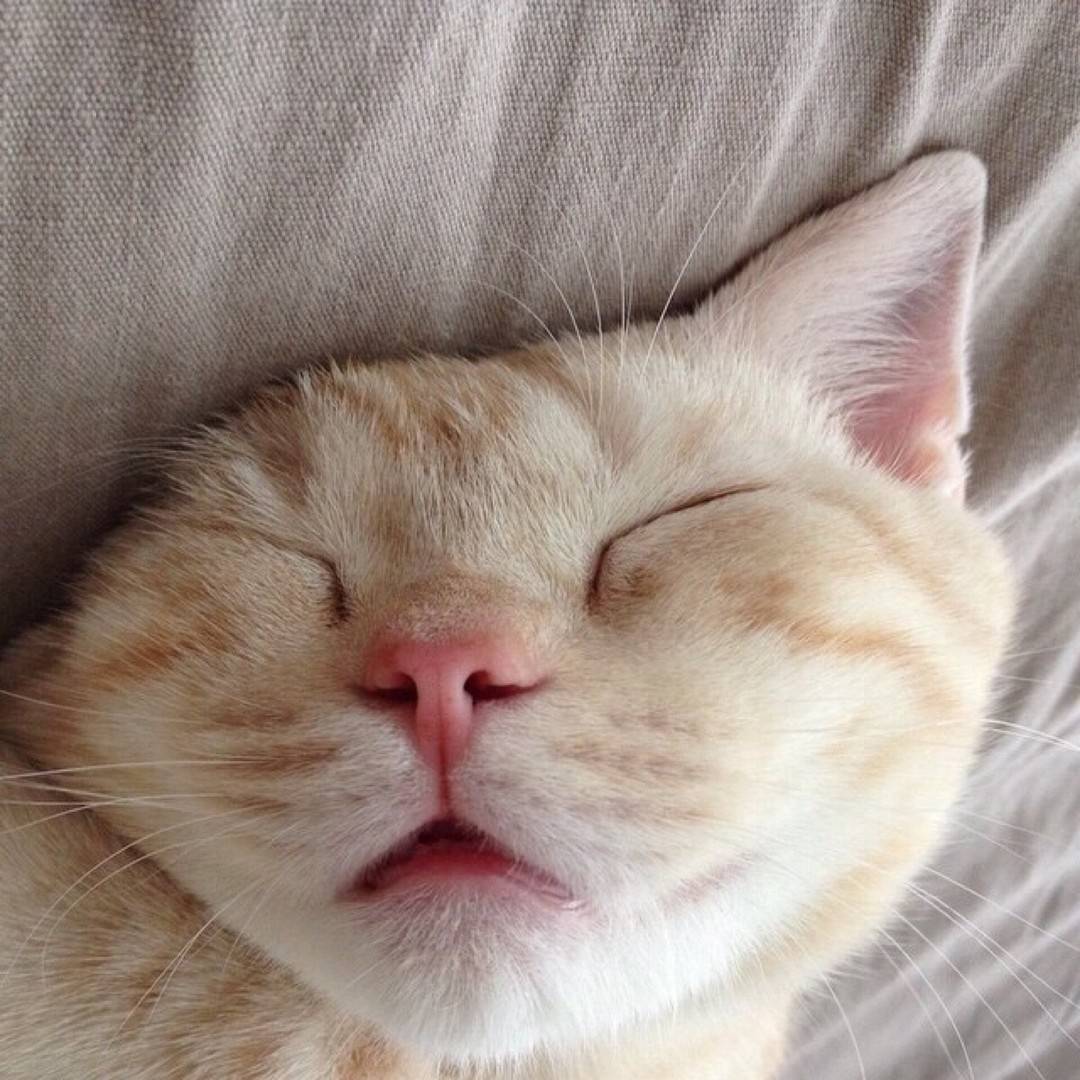 哈哈，睡眼惺忪