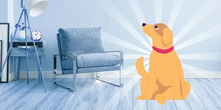 接种过疫苗的狗还会得细小吗？