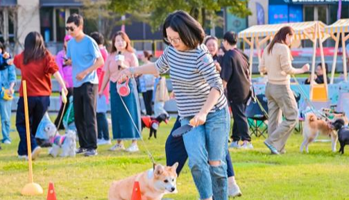 放大“陪伴”价值,宠物经济如何激发全链条创新