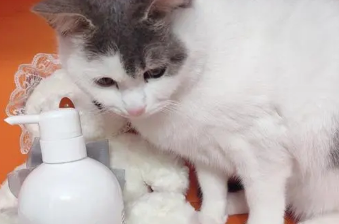 宠物和人类的沐浴露有什么区别?来看看吧