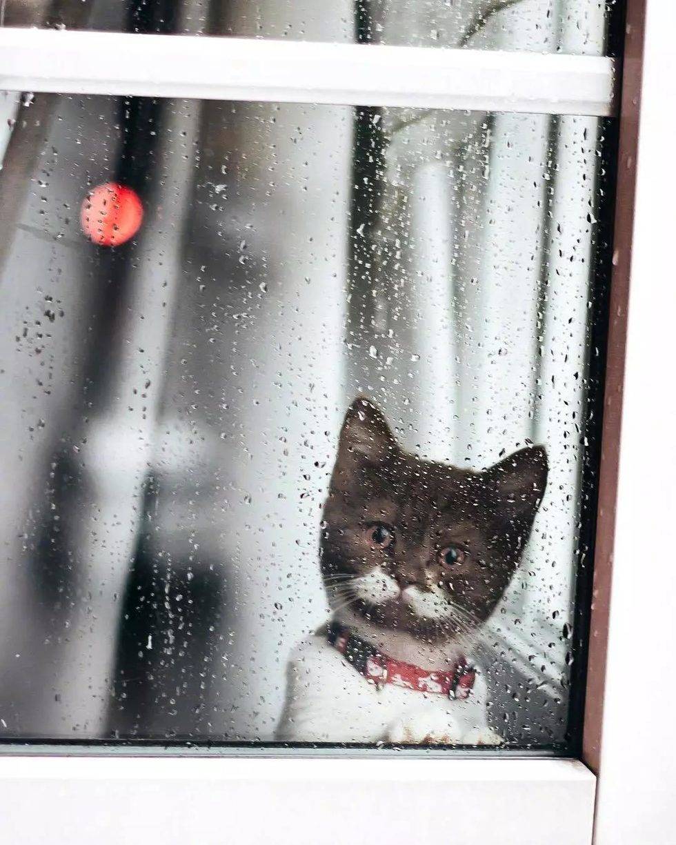 喝完牛奶变成了可爱的小胡子