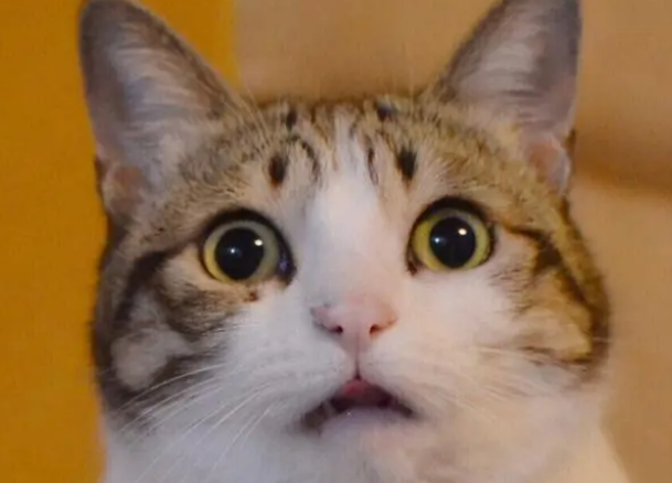 洗澡时客厅传来巨响,看到现场心脏受不了