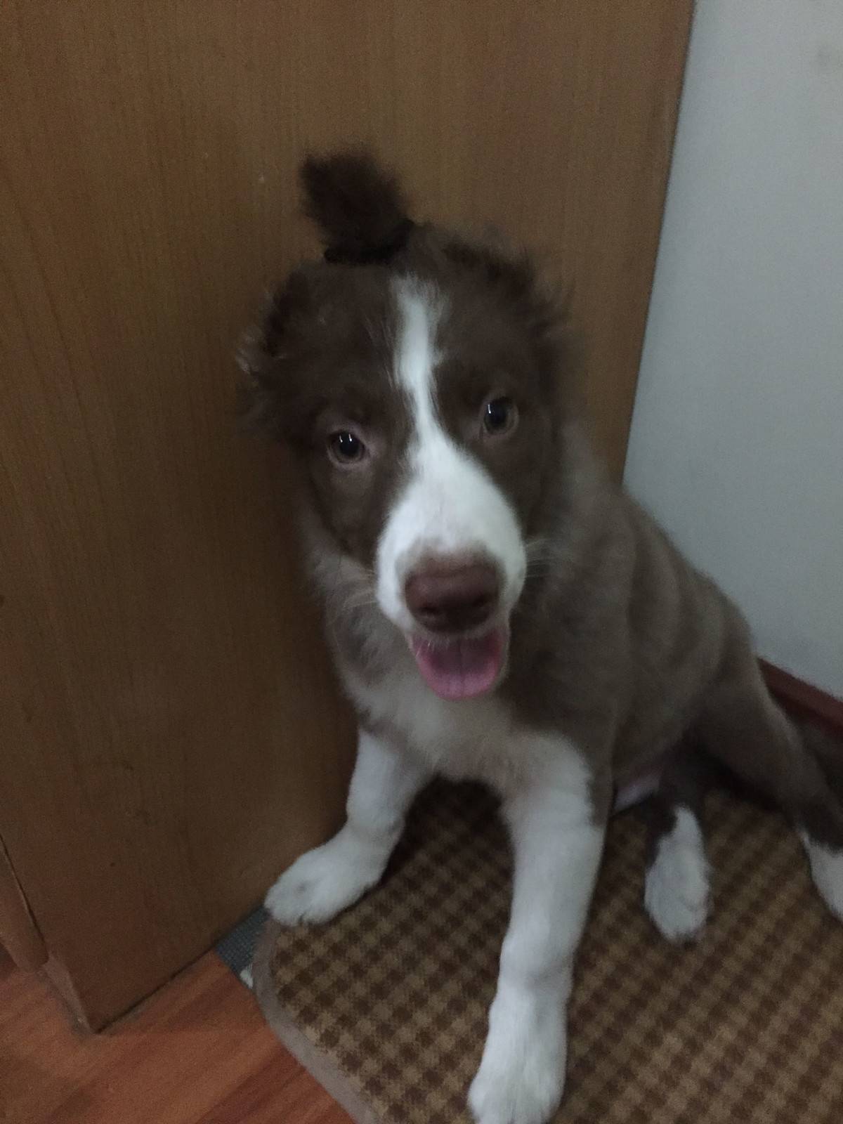 麻,你这是要干嘛,一帅小伙儿被你弄成这样