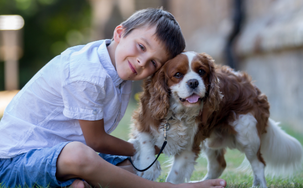 陪伴型动物保护立法，引导人们文明养宠
