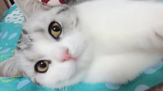 洗完澡以后可爱的小宝宝