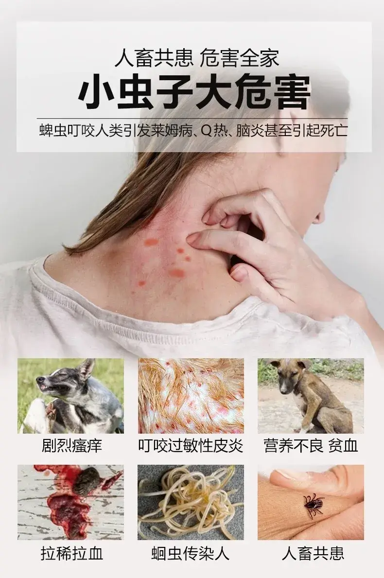 宠物寄生虫病知识讲解,类型、危害患病表现等!