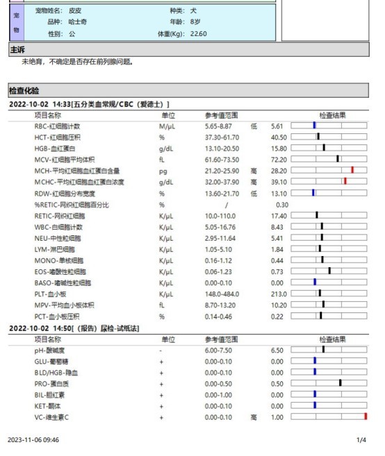 一例犬睾丸肿瘤的诊断与治疗