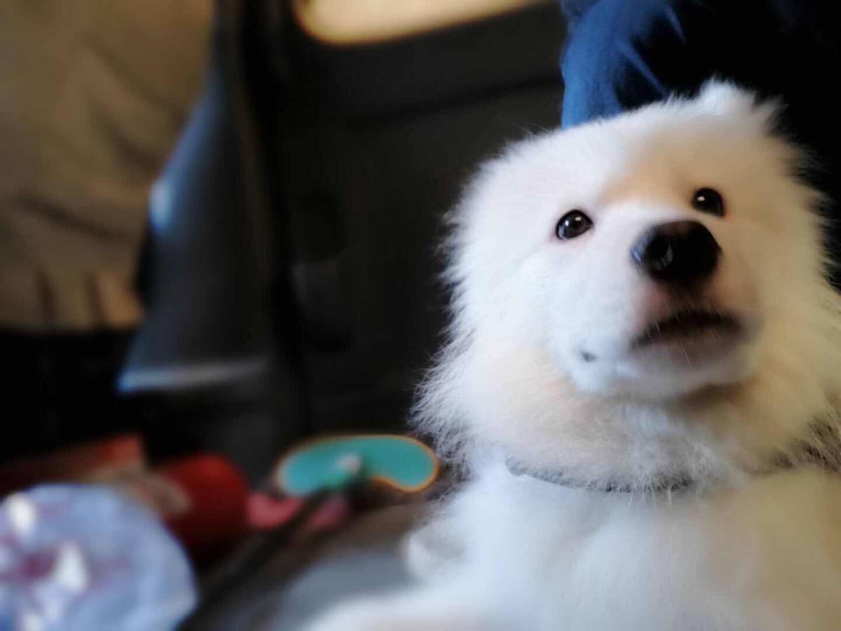 秀几张我儿子照片