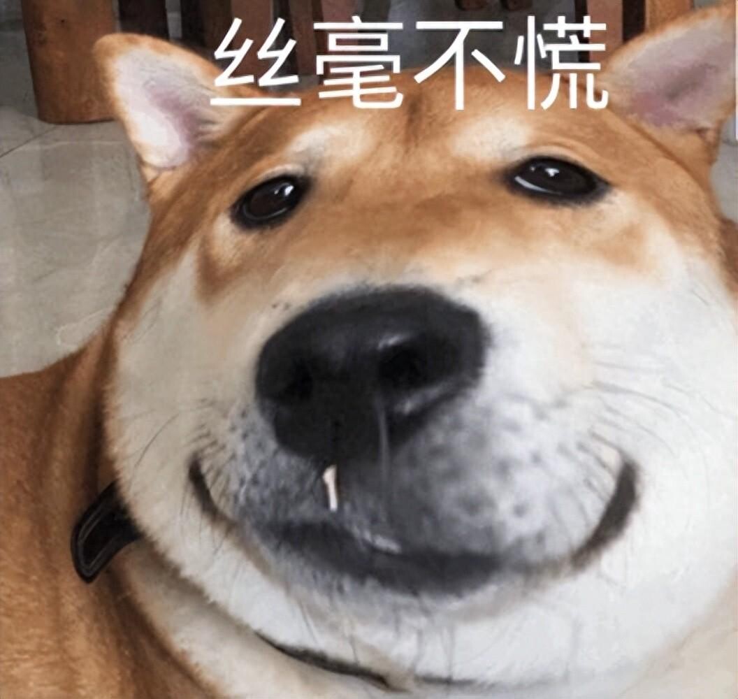 狗狗不舒服的 7 个表现,出现这些动作药注意了!