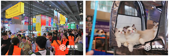 2024 广州国际潮宠展六大升级焕新,重新定义展会新标准!