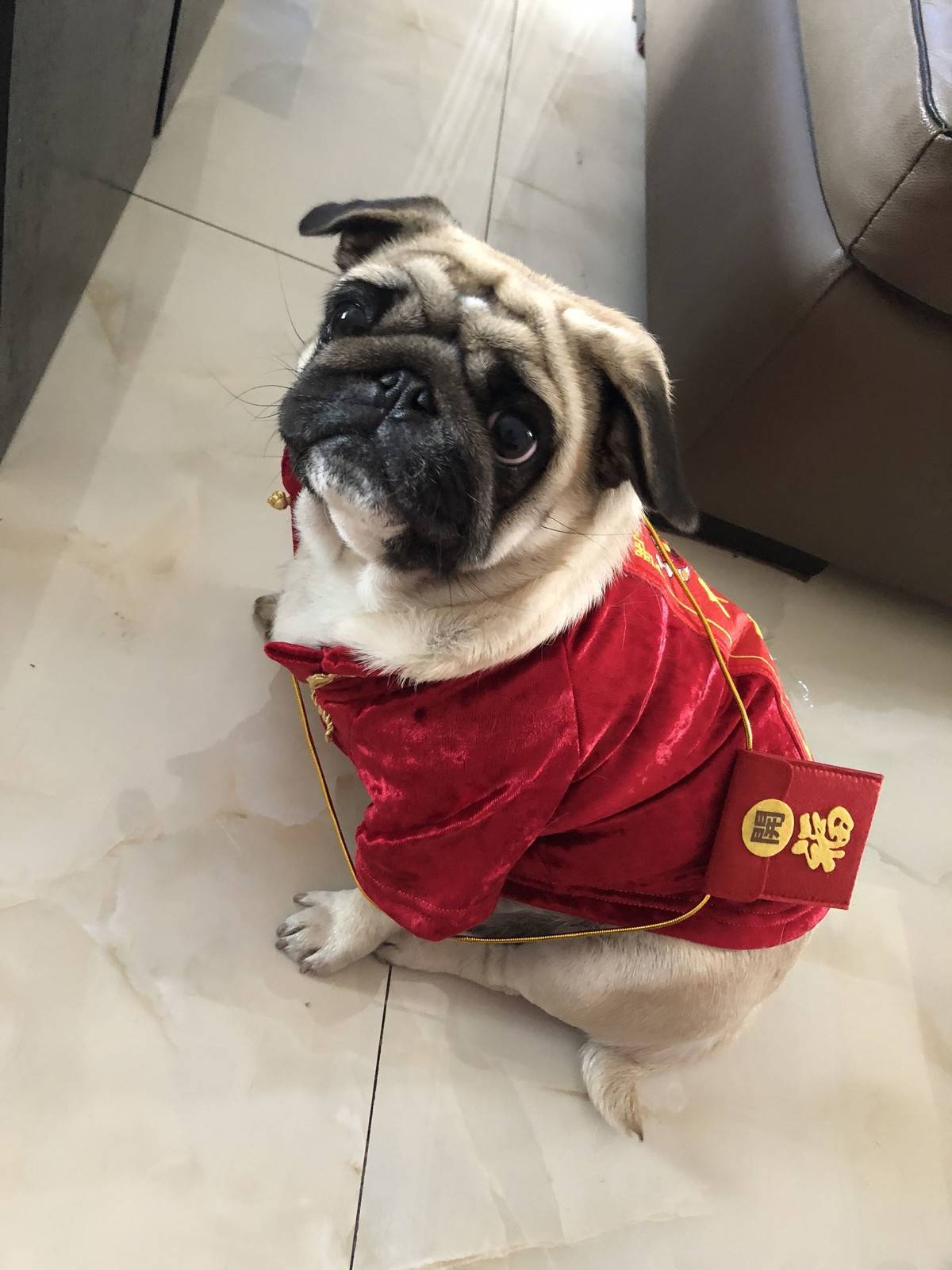 过年专用讨红包行头