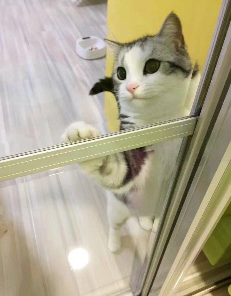 虽然我无聊 但是它膨胀啊/笑哭