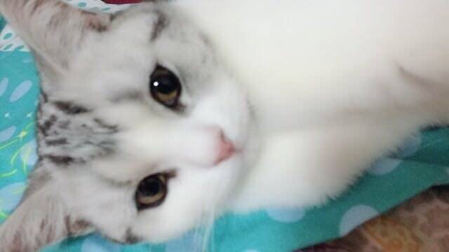 洗完澡以后可爱的小宝宝