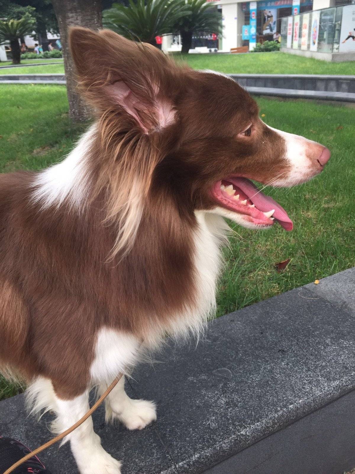 哎呀！看你这是最后一次了，算了，带你在淘气一次[可爱][可爱]