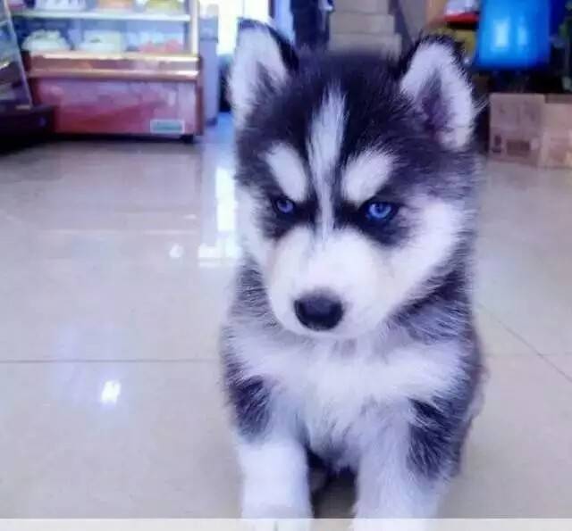 小时候-我就这么看着你，你敢说我不可爱