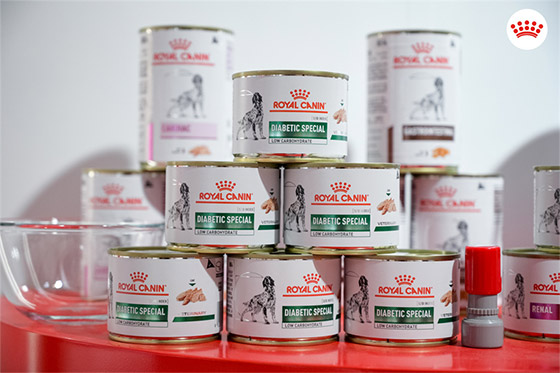 皇家携情绪舒缓新品亮相东西部大会,赋能诊疗行业高质量发展