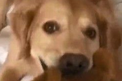 看见好友在洗衣机洗澡 阿金世界崩毁超想救援