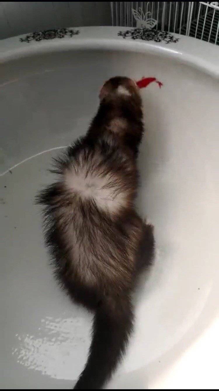 小可爱们都到了！有喜欢的吗？