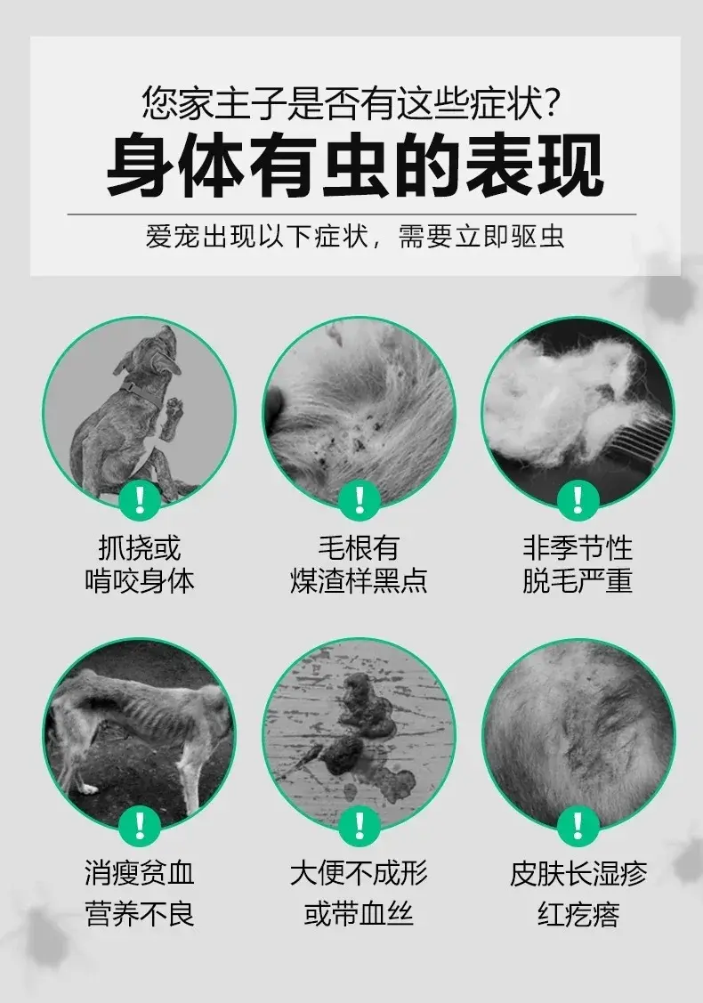 宠物寄生虫病知识讲解,类型、危害患病表现等!