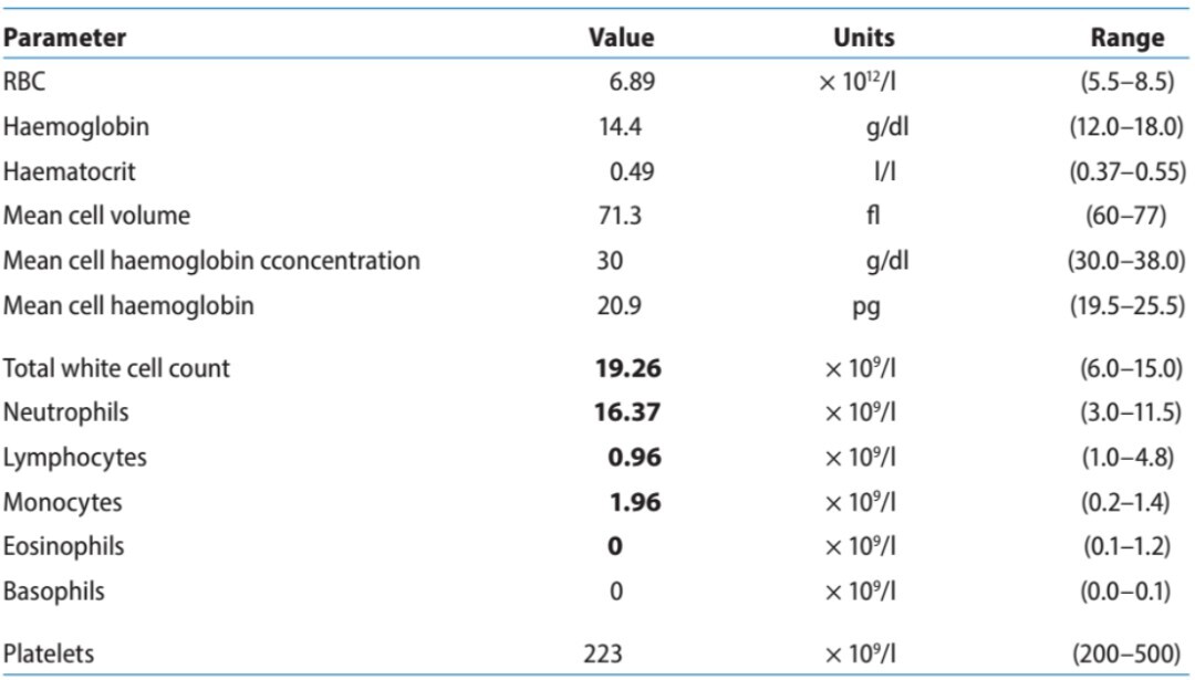 11 岁公犬的糖尿病酮症酸中毒病例分析