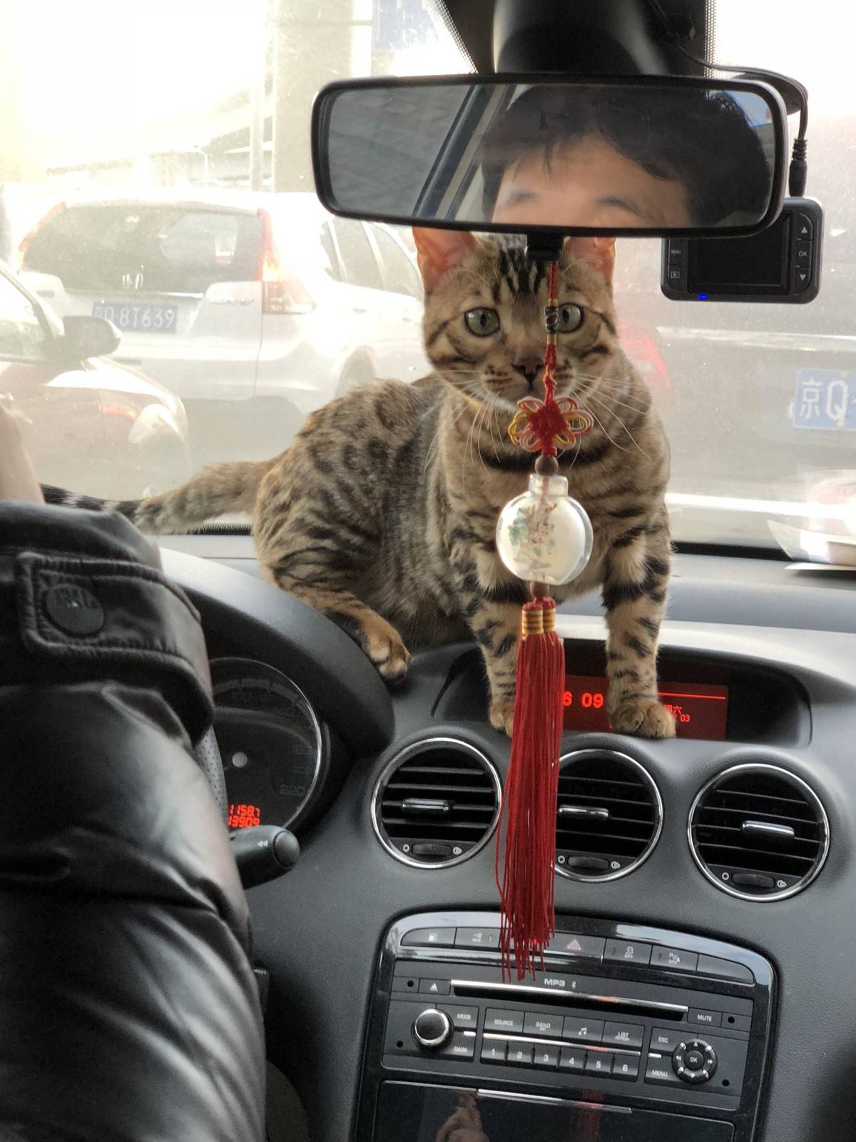 自己家的车喜欢站哪就站哪