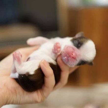 感觉好像还吃奶奶一样