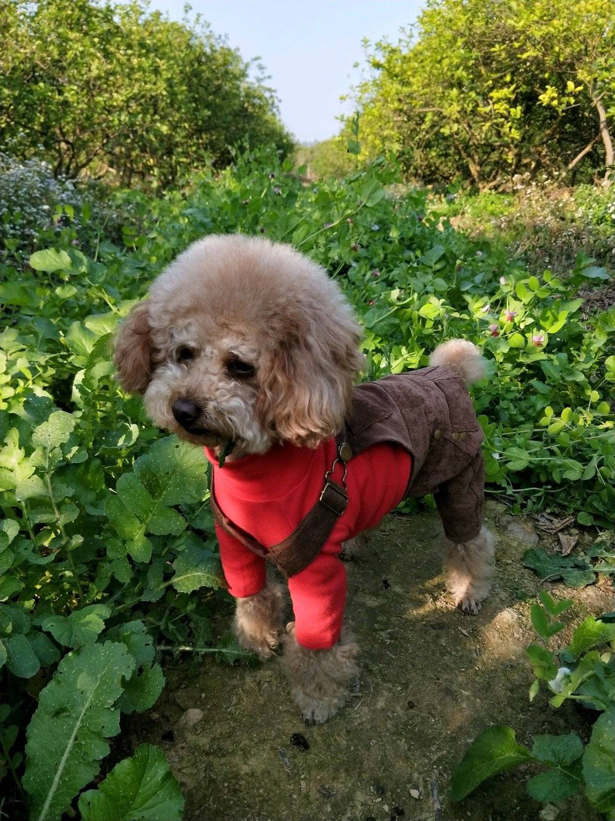 面向阳光，心情飞扬~