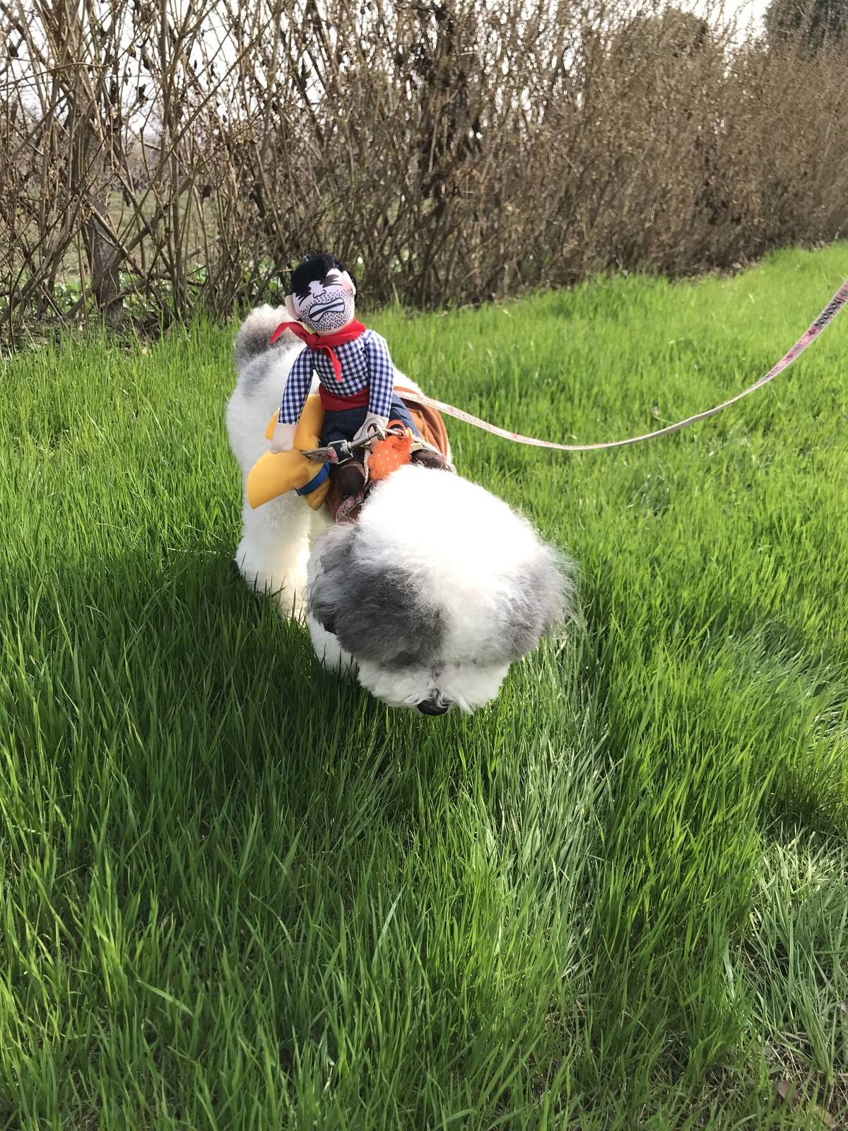 天气好好 踏踏青