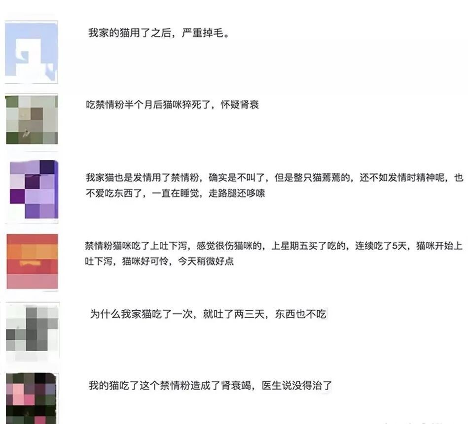 宠物发情喂避孕药可以吗?这些后果需要考虑