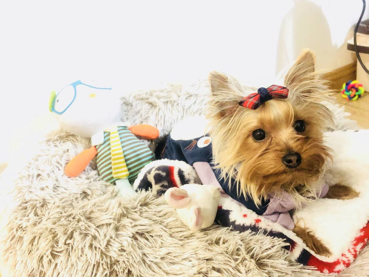 萌萌哒偶回来啦……么么哒~小兔子