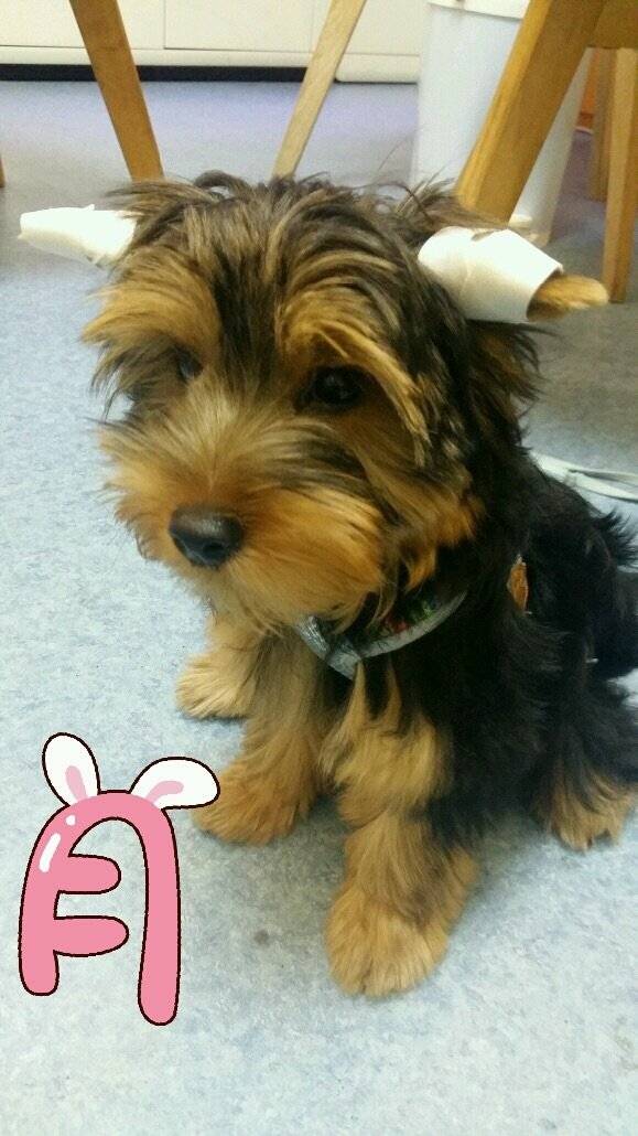 盘点了探探的坐姿~照片告诉你时光匆匆...