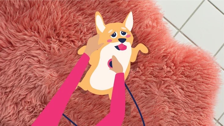 狗狗心肌肥大：原因与治疗方法