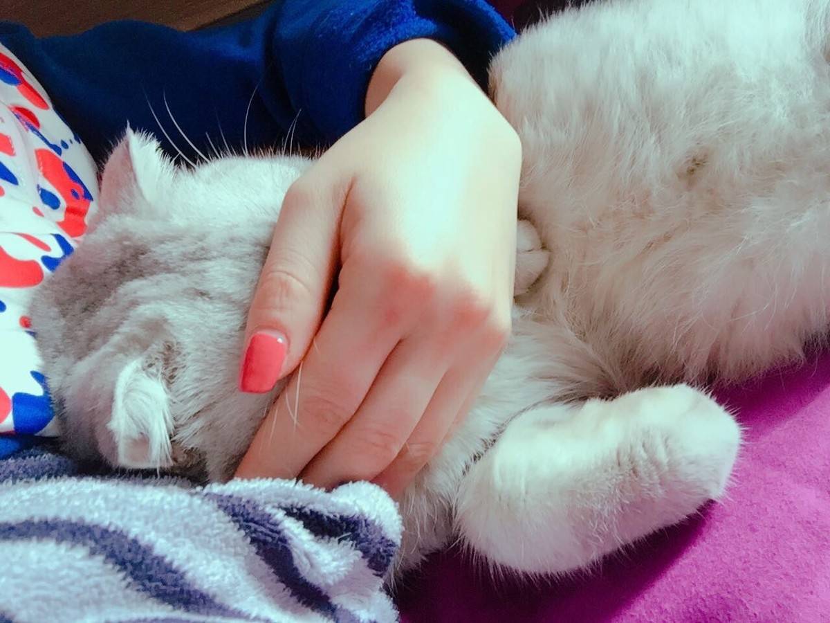 周末，和嬷蜜一起睡午觉